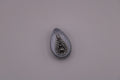 Ear gauge